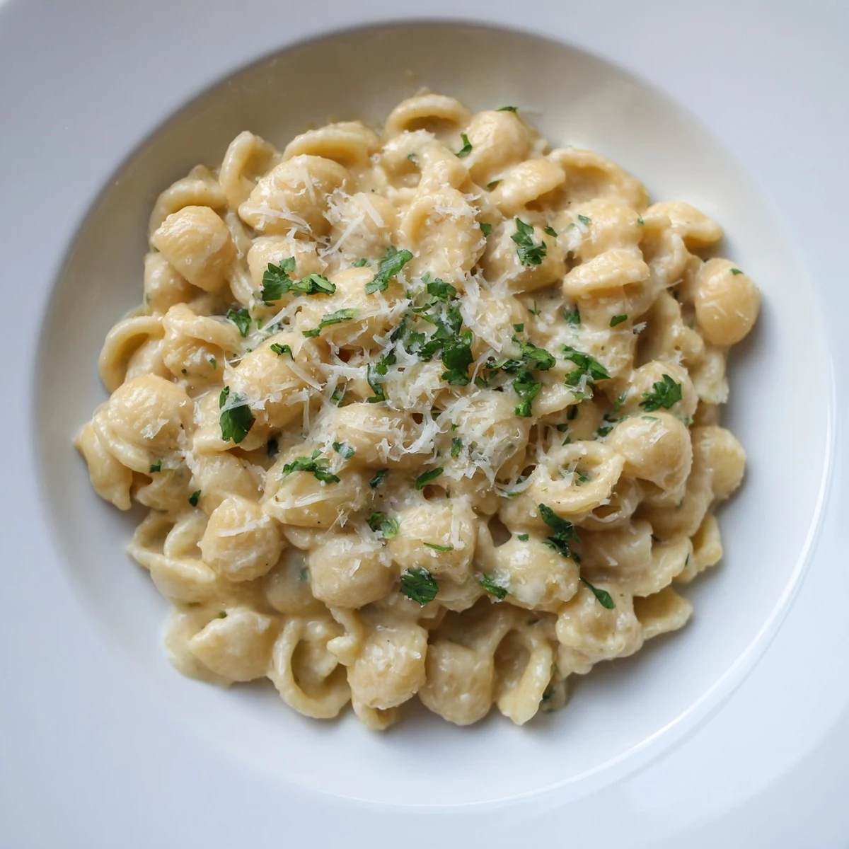 Creamy ditalini pasta with garlic, garnished with fresh parsley, ready to serve and enjoy.