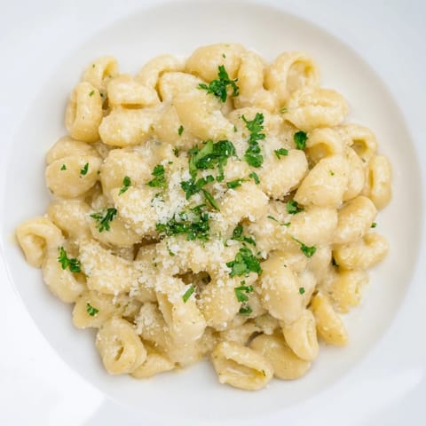 A close-up of creamy garlic ditalini pasta, showcasing the rich sauce coating each piece.