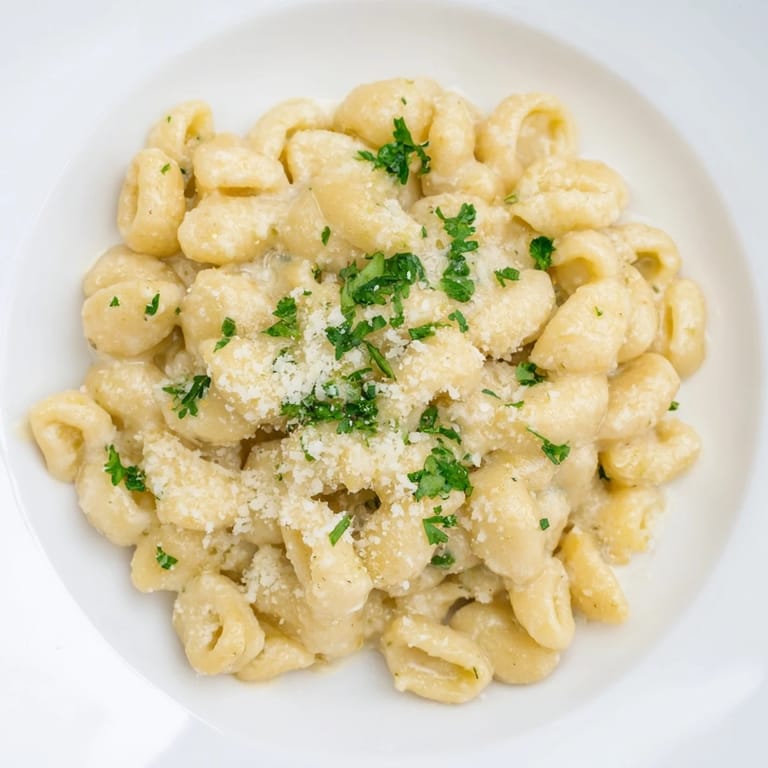 A close-up of creamy garlic ditalini pasta, showcasing the rich sauce coating each piece.
