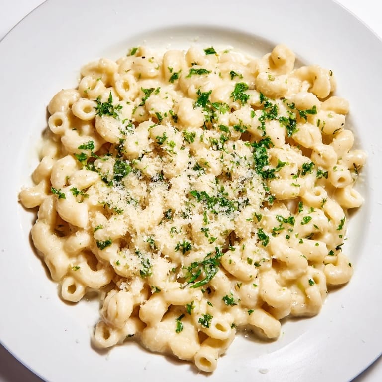 Ditalini pasta in a creamy garlic sauce, perfect for a cozy, satisfying Italian-American meal.